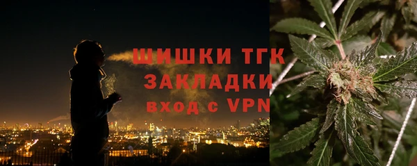 мет Няндома