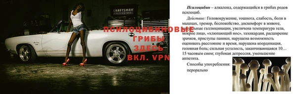 спайс Нягань
