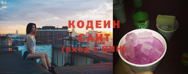 мет Няндома